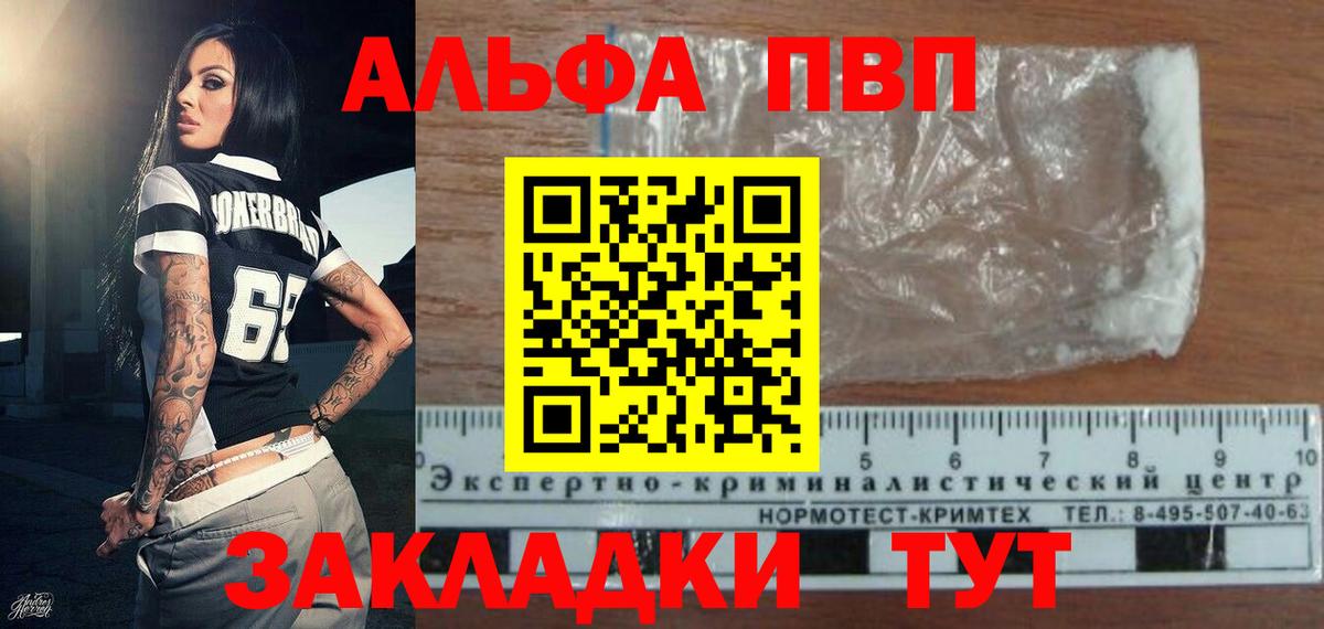 Alfa_PVP СК Елец