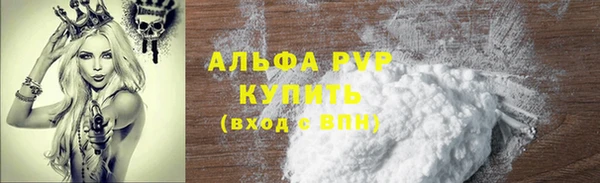 индика Киреевск