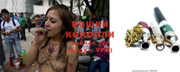 индика Киреевск