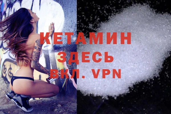 индика Киреевск