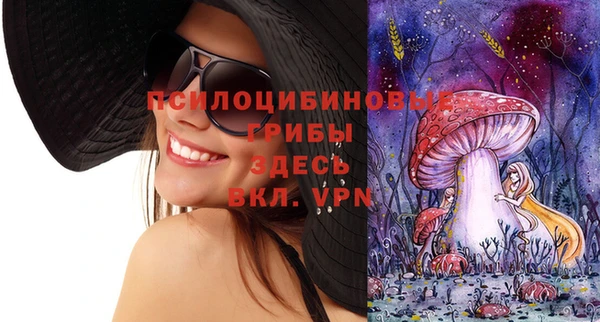индика Киреевск
