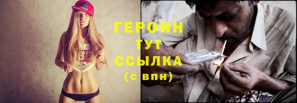 индика Киреевск