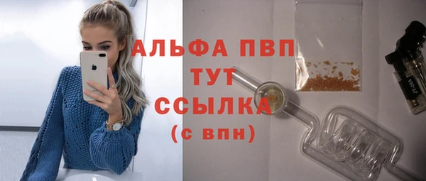 индика Киреевск