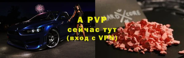 индика Киреевск