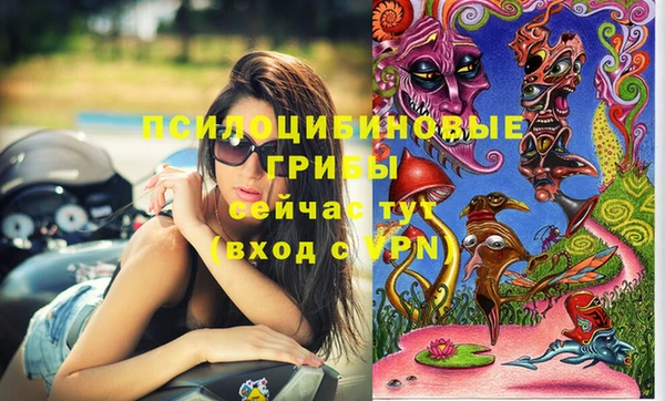 индика Киреевск