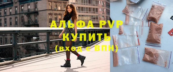 индика Киреевск