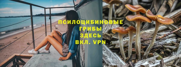 герыч Кинешма