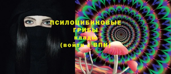 индика Киреевск