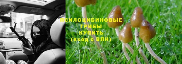 ГАЛЛЮЦИНОГЕННЫЕ ГРИБЫ Киренск