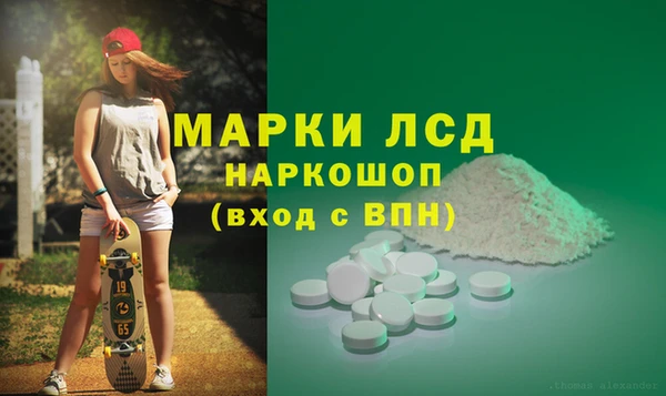 индика Киреевск