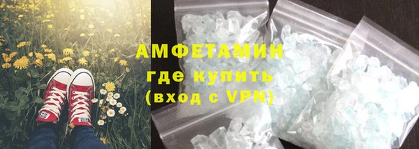 индика Киреевск