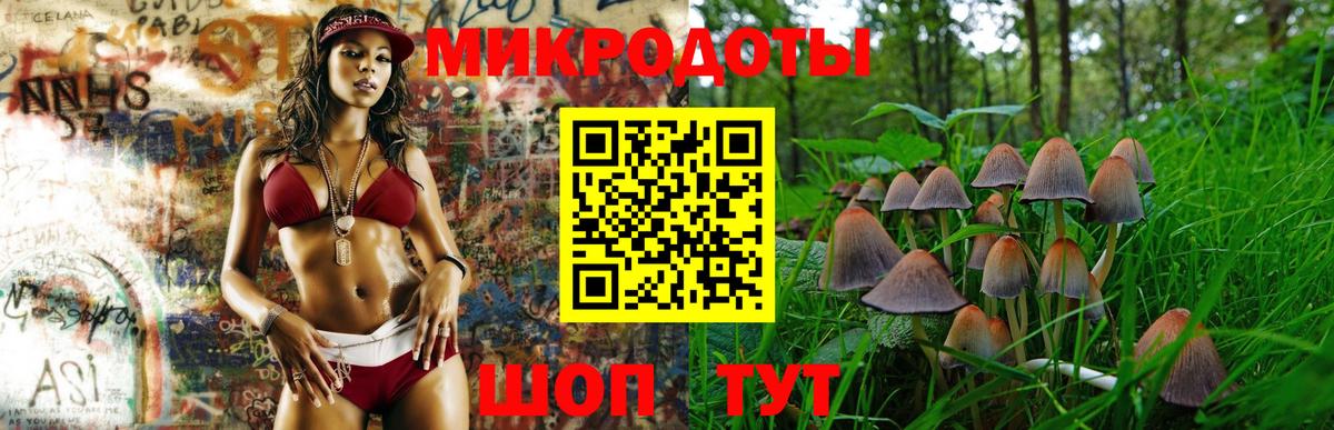 Псилоцибиновые грибы ЛСД Елец