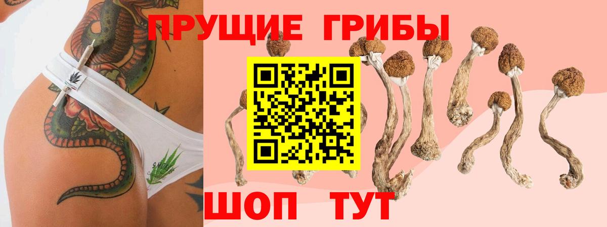 наркота  Псилоцибиновые грибы мухоморы  Вход с VPN  Галлюциногенные грибы ЛСД  Елец 