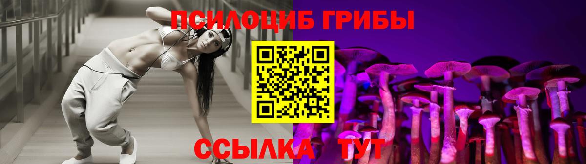 Галлюциногенные грибы мицелий Елец