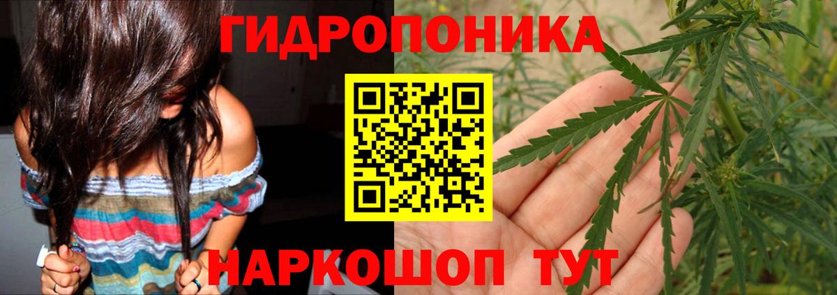 Конопля OG Kush  Бошки марихуана Bruce Banner  Елец  Вход с VPN  Конопля White Widow  МАРИХУАНА гибрид 